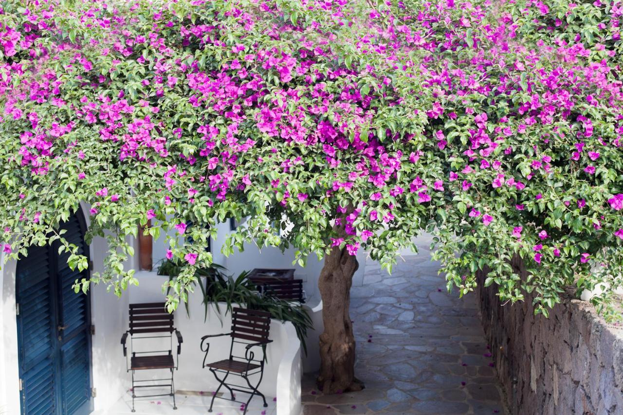 Quartara Boutique Hotel 파나레아 외부 사진